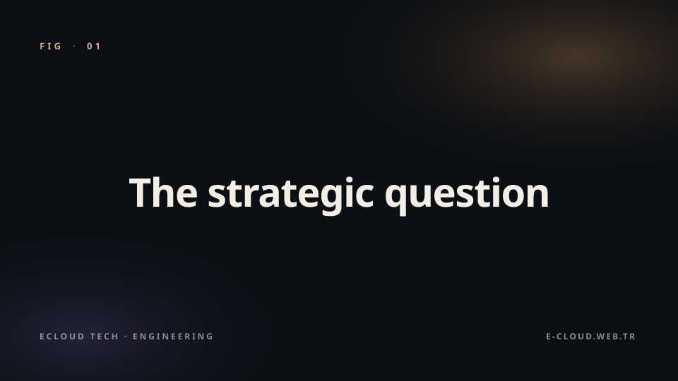 Figure 1 — The strategic question — what do we automate, what do we not