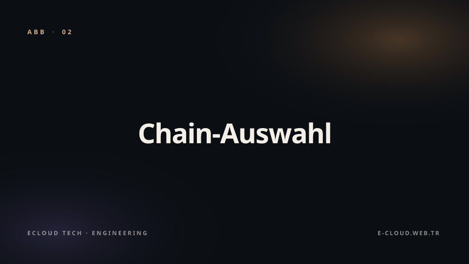Abbildung 2 — Chain-Auswahl — permissioned, öffentlich oder hybrid